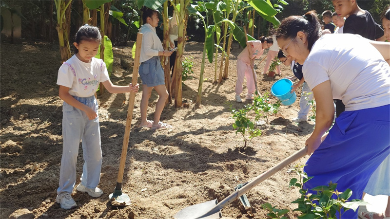 生命领航， “植”愈心灵！红荔社区开展种植心理健康教育活动